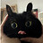 acidowl