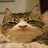 AkaLeastrio