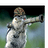 squirrelofpain