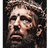 zuidy